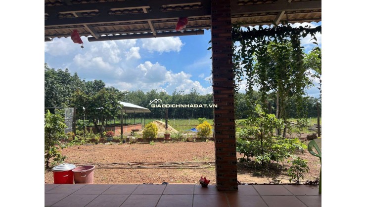 Kinh doanh thua lỗ bán nhanh nhà 2290m2 đất sổ riêng gần ngay khu công nghiệp đang hoạt động. Giá 380tr
